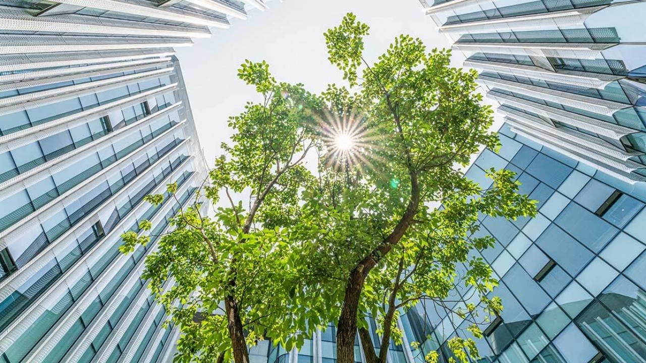 According to JLL, sustainability is rapidly rising as a ... Image 1